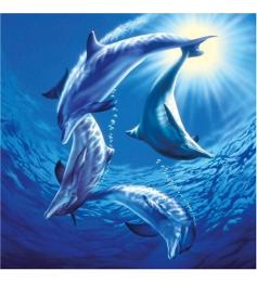 Schmidt Puzzle Famille de Dauphins 1000 pièces