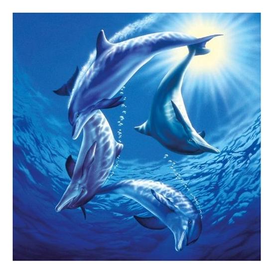 Schmidt Puzzle Famille de Dauphins 1000 pièces