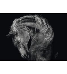 Puzzle Schmidt Puissance, Cheval: Force 1000 Pieces