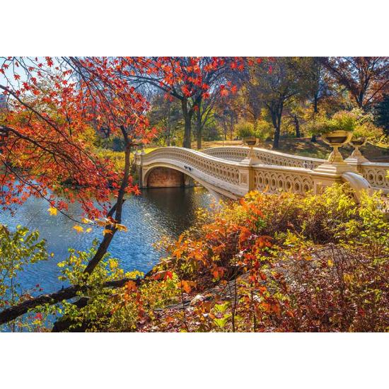 Schmidt Puzzle Central Park Bridge, New York 1000 pièces