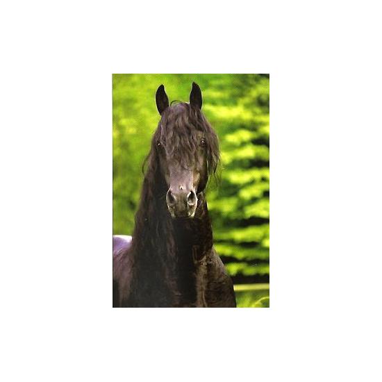 Schmidt Puzzle Cheval Portrait 500 pièces Schmidt Puzzle Cheval Portrait 500 pièces