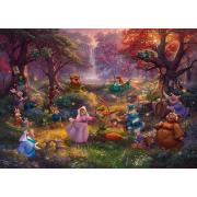 Puzzle Schmidt Robin Hood 1000 pieces