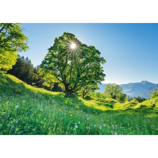 Puzzle Schmidt Sycomore en Suisse de 1000 Pièces Puzzle Schmidt Sycomore en Suisse de 1000 Pièces