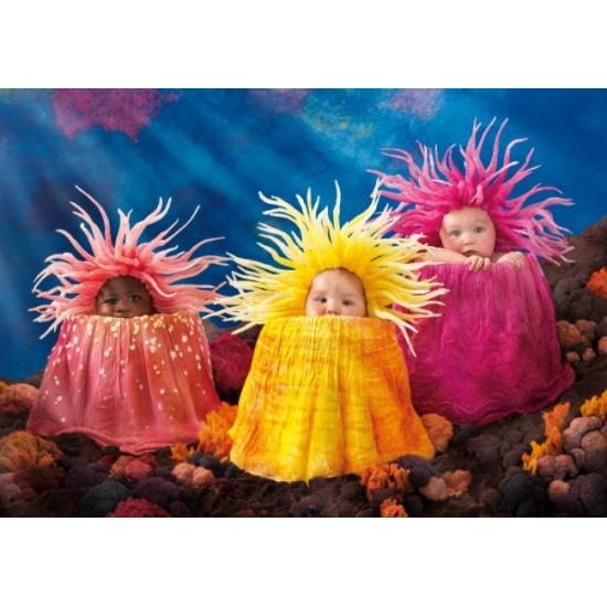 Puzzle Schmidt Trésors de la mer 1000 pièces