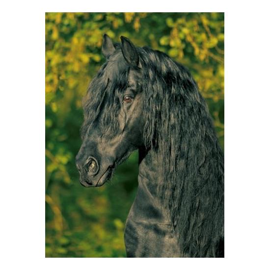 Schmidt Timothée Puzzle 1000 pièces