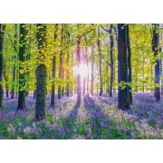 Puzzle Schmidt Forêts de jacinthes des bois tranquilles 1000