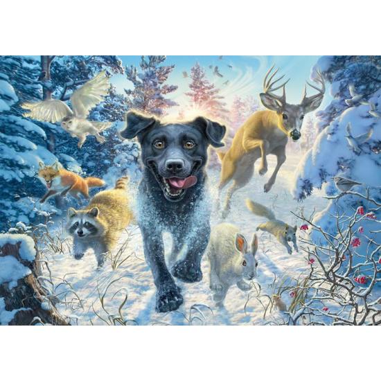Puzzle Schmidt Un Labrador Noir Dans La Neige 1000 Pcs