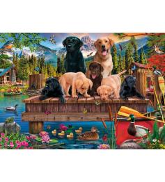 Puzzle Schmidt Une Famille De Chiens Au Bord Du Lac 1000 Pieces