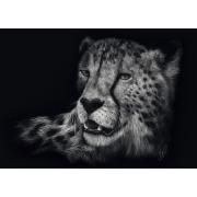 Puzzle Schmidt Vitesse, Guépard : Élégance 1000 Pieces