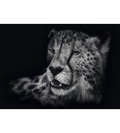 Puzzle Schmidt Vitesse, Guépard : Élégance 1000 Pieces
