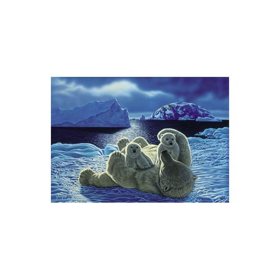 SpielSpass Future Puzzle pour deux 1000 pièces