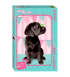 Puzzle Step Puzzle Chiot Noir 1000 Pièces