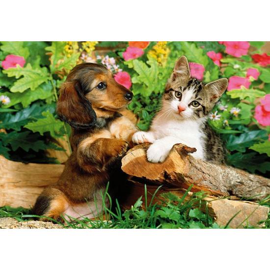 Puzzle chaton et chiot Step Puzzle 160 pièces