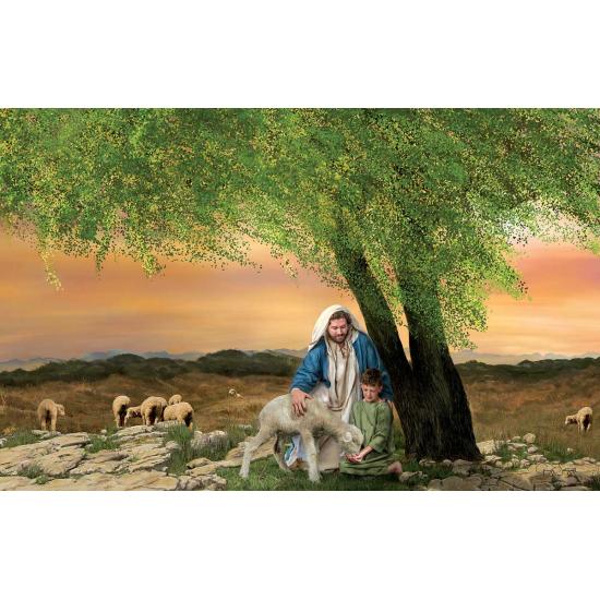 Puzzle 1000 pièces Nourris mes agneaux SunsOut Puzzle 1000 pièces Nourris mes agneaux SunsOut