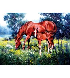 SunsOut Chevaux et marguerites Puzzle 1000 pièces