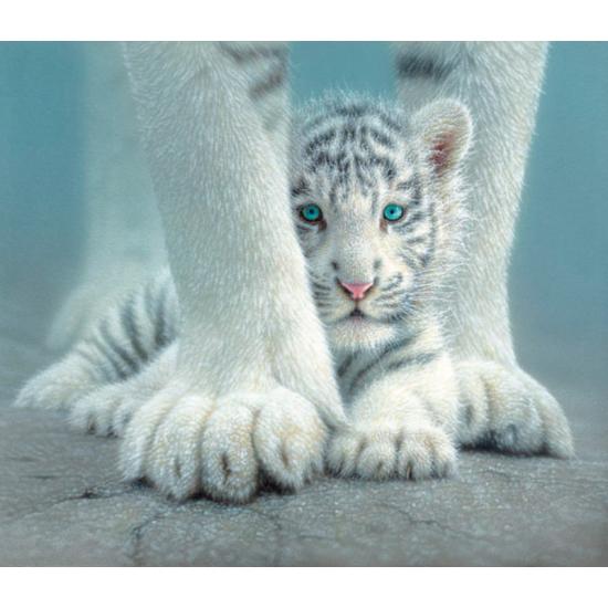 SunsOut Protected Tiger Cub Puzzle 550 pièces