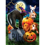 SunsOut Halloween Chiots Puzzle 1000 pièces