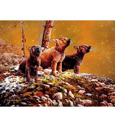 Puzzle SunsOut Le Son de la Nature XXL de 500 Pieces