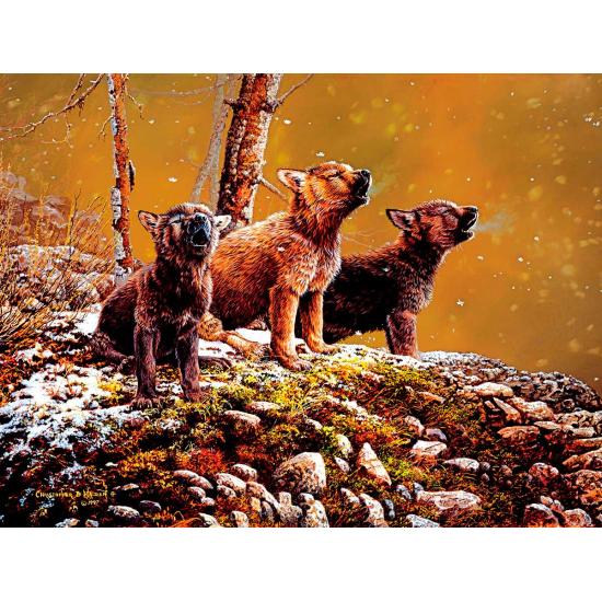 Puzzle SunsOut Le Son de la Nature XXL de 500 Pieces