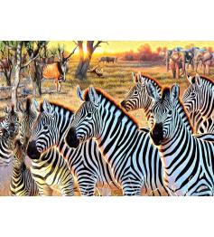 Puzzle SunsOut Zèbres Et Amis XXL de 500 Pieces