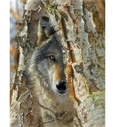 Puzzle SunsOut Rencontre de Loups XXL de 500 Pieces