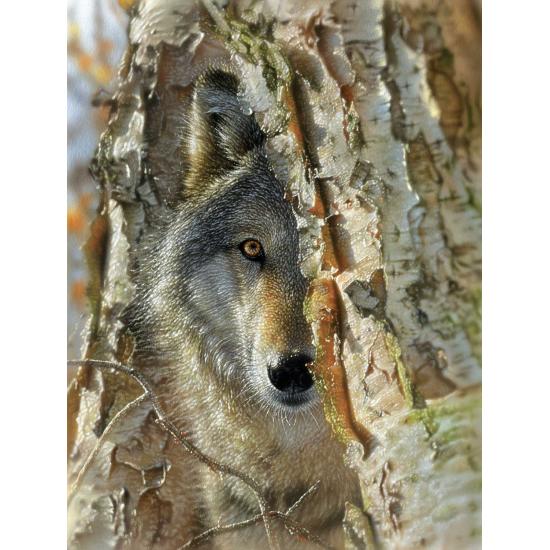 Puzzle SunsOut Rencontre de Loups XXL de 500 Pieces Puzzle SunsOut Rencontre de Loups XXL de 500 Pieces