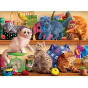 SunsOut Chatons de l'animalerie Puzzle 1000 pièces