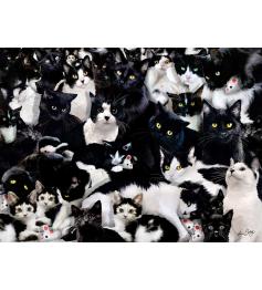 Puzzle 1000 pièces Chatons noirs et blancs SunsOut