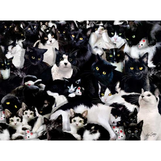 Puzzle 1000 pièces Chatons noirs et blancs SunsOut