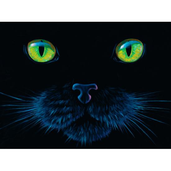 SunsOut Black Cat Puzzle 1000 pièces