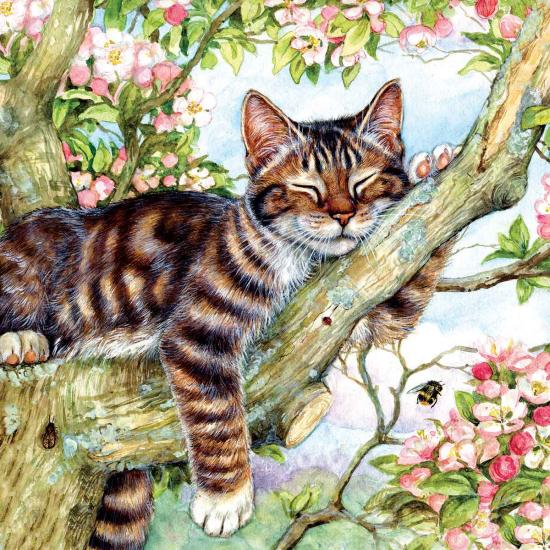 SunsOut Sleepy Cat Puzzle 500 pièces