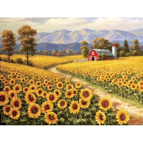 SunsOut Red River Sunflower Farm Puzzle XXL 300 pièces