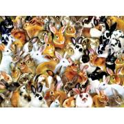 SunsOut Groupe de lapins Puzzle 1000 pièces
