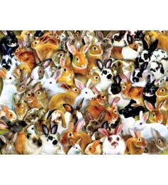 SunsOut Groupe de lapins Puzzle 1000 pièces
