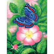 SunsOut Le papillon bleu Puzzle 1000 pièces