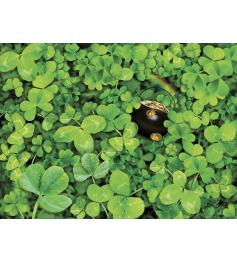 SunsOut Los Clovers Challenge Puzzle 1000 pièces