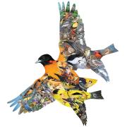 SunsOut Oriole Birds Puzzle 1000 pièces