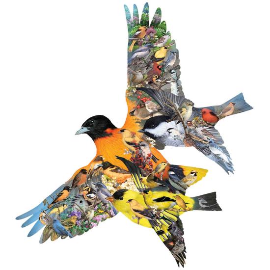 SunsOut Oriole Birds Puzzle 1000 pièces