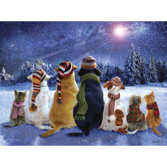 SunsOut Demandez à l'Star filante Puzzle 1000 pièces