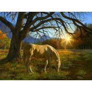 SunsOut Country Sunset Puzzle 1000 pièces