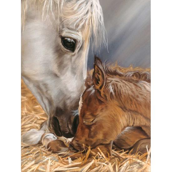 Puzzle SunsOut Cadeau de la Nature XXL de 500 Pieces