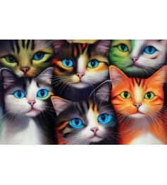 Puzzle SunsOut Six Chats 550 pièces