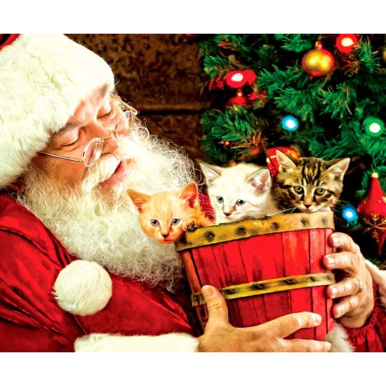 SunsOut Barrel of Fun Puzzle 1000 pièces