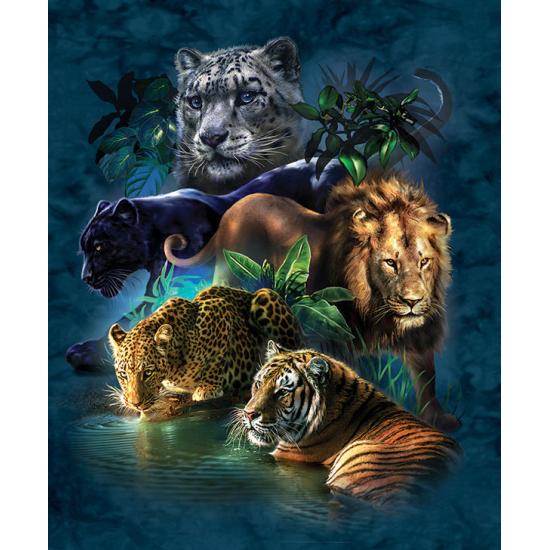 SunsOut Value Big Cats Puzzle 1000 pièces