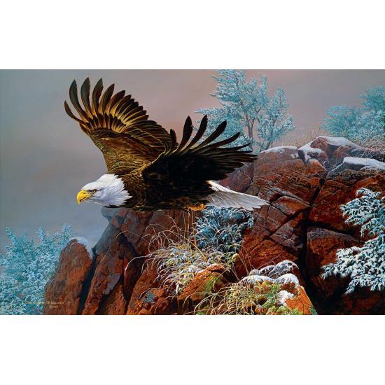SunsOut Aigle dans le vent Puzzle 1000 pièces