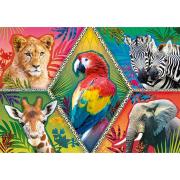 Trefl Puzzle Animaux exotiques 1000 pièces