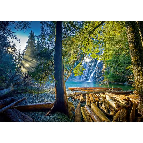 Puzzle Trefl Forêt Mystérieuse 1000 Pièces