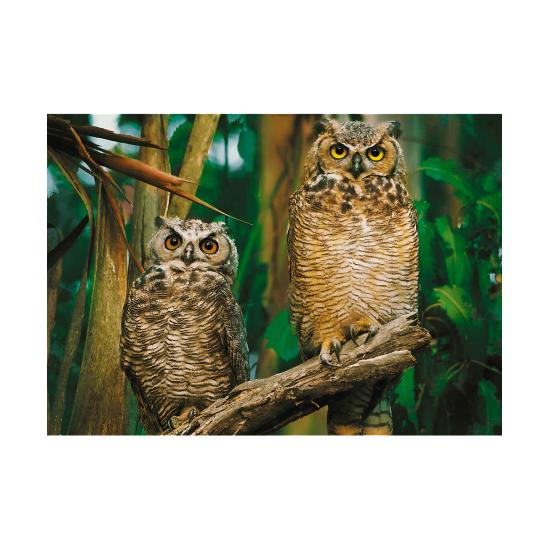 Puzzle Trefl Hiboux 1000 pièces