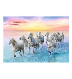 Puzzle Trefl Chevaux blancs au galop 500 pièces