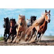 Puzzle Trefl Chevaux au galop 1000 pièces